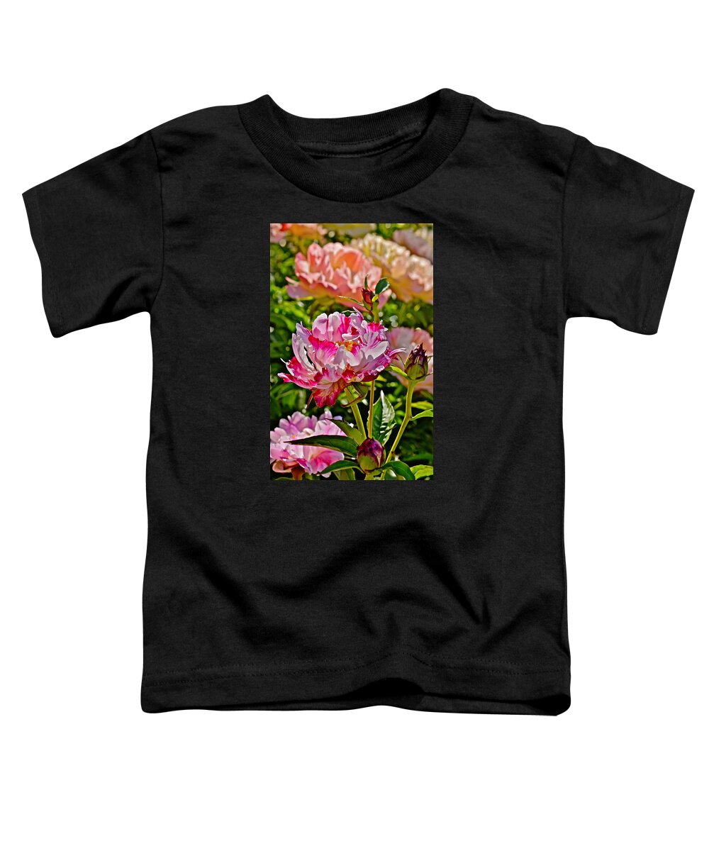 Peonies Toddler T-Shirt featuring the photograph 2015 Summer's Eve at the Garden Candy Stripe Peony by Janis Senungetuk