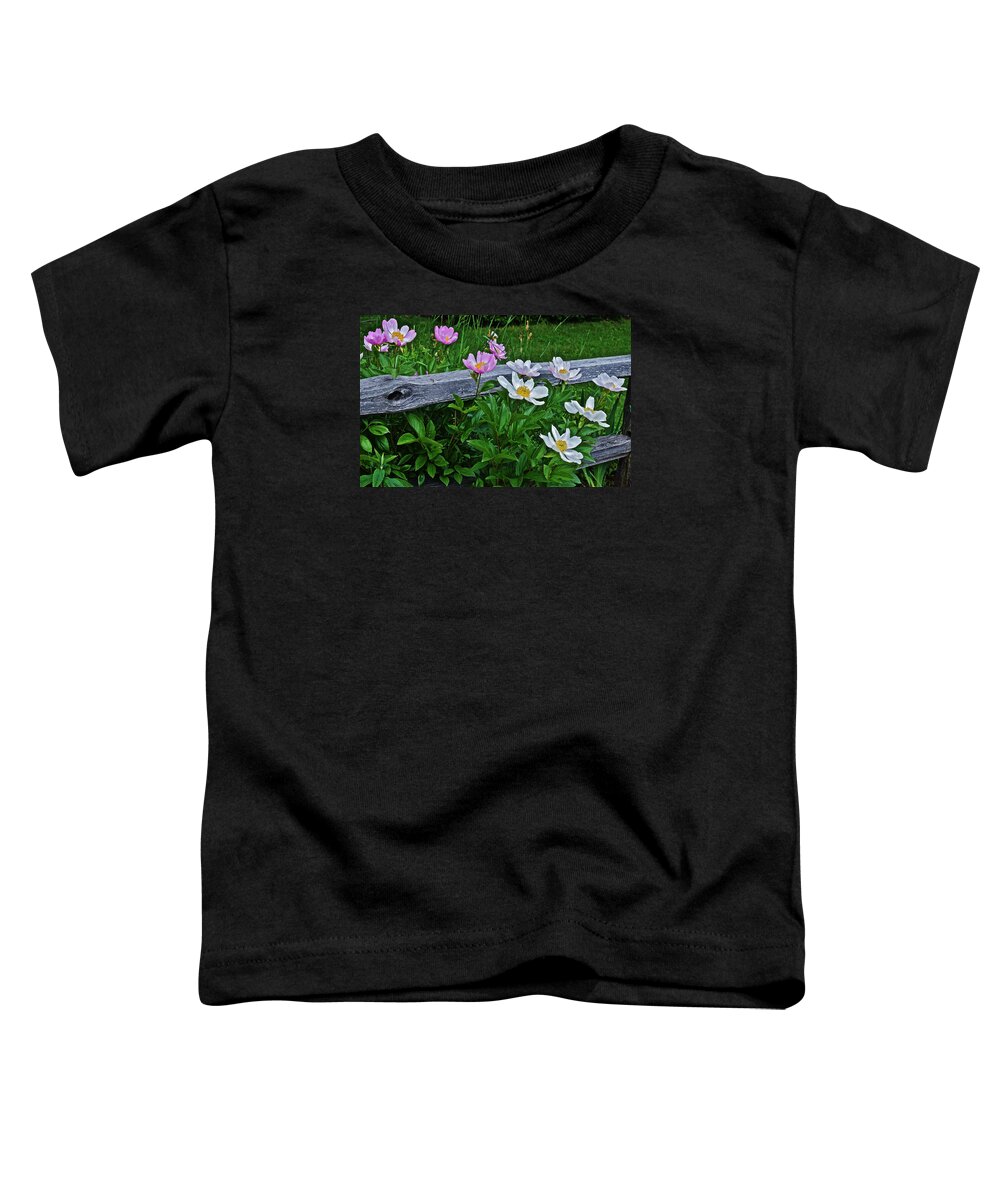 Peonies Toddler T-Shirt featuring the photograph 2015 Summer's Eve Neighborhood Garden Front Yard Peonies 2 by Janis Senungetuk