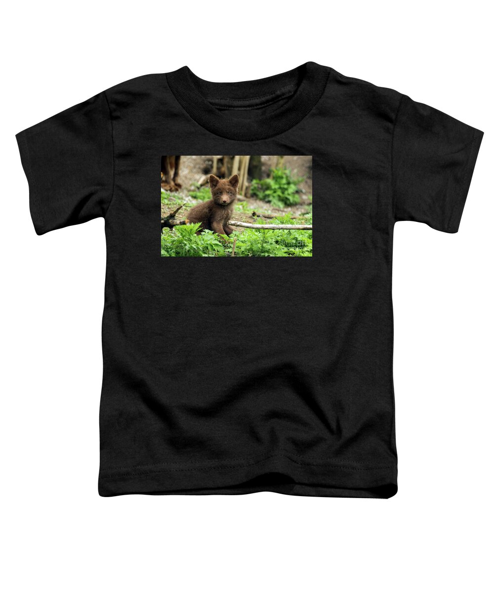 Fox Toddler T-Shirt featuring the photograph Beautiful Fox Cub #5 by Sam Rino