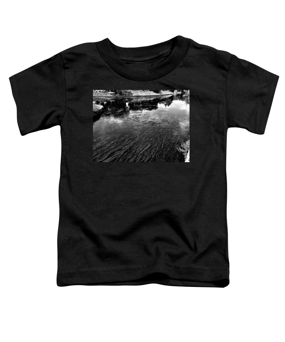 Beautiful Toddler T-Shirt featuring the photograph China Guilin landscape scenery photography #4 by Artto Pan