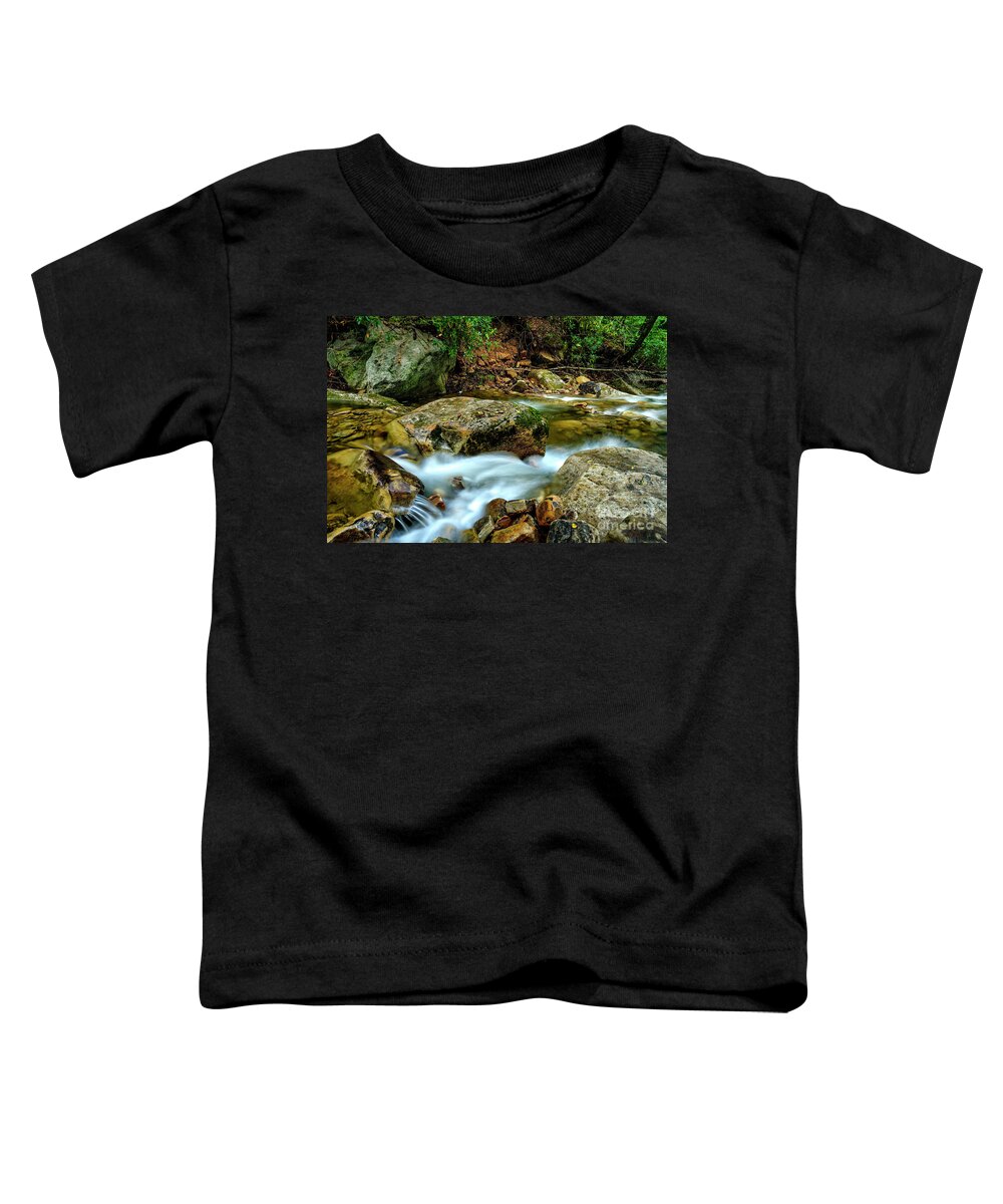 Kens Creek Toddler T-Shirt featuring the photograph Kens Creek Cranberry Wilderness #4 by Thomas R Fletcher