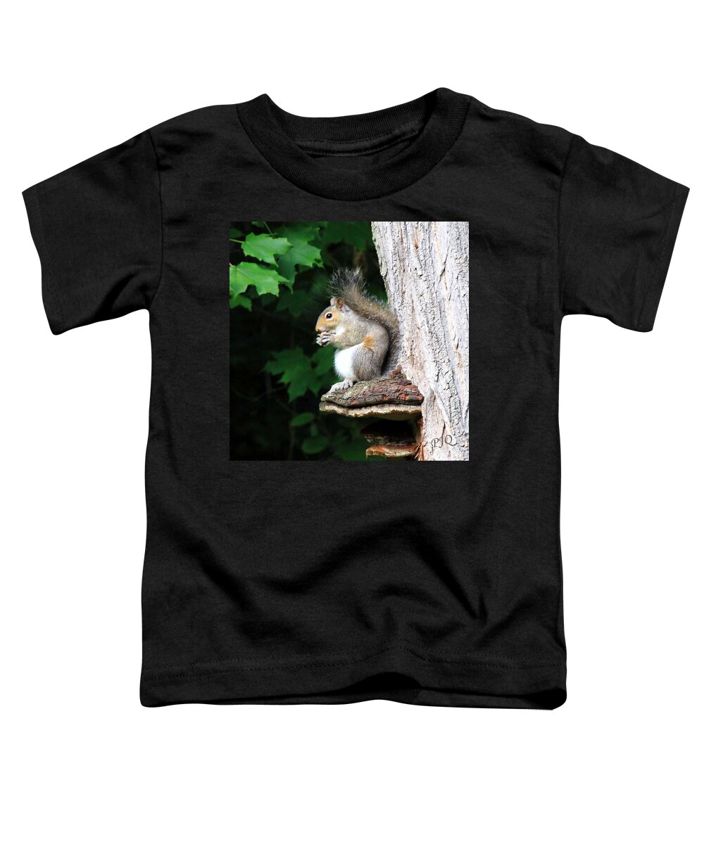 Pillow Gallery Toddler T-Shirt featuring the photograph Pillow Gallery #46 by PJQandFriends Photography