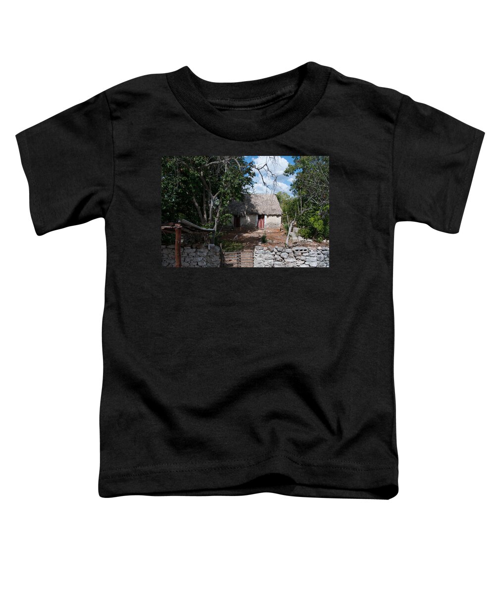Mexico Yucatan Toddler T-Shirt featuring the digital art Typical Myan Homes #5 by Carol Ailles