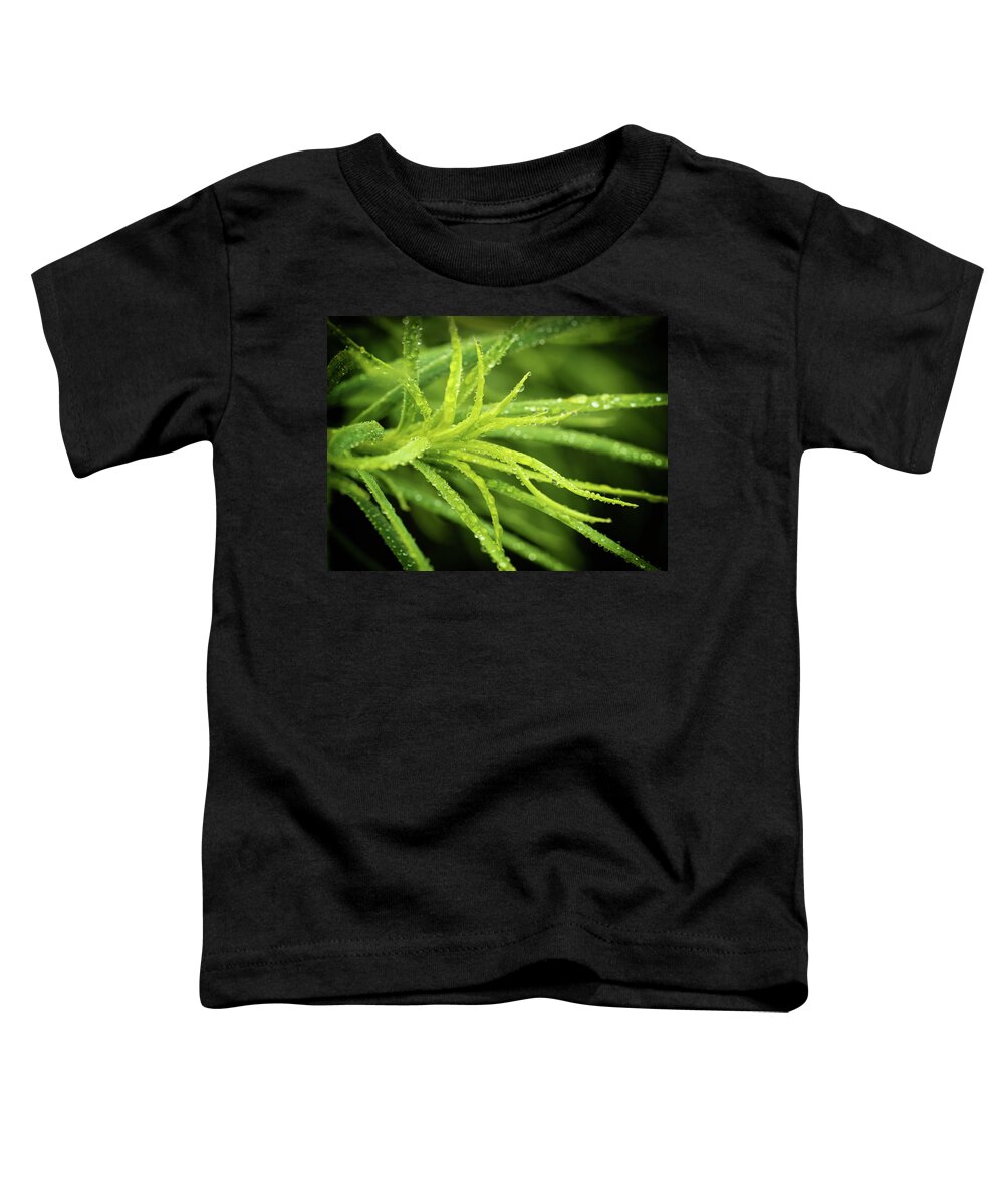 Acacia Toddler T-Shirt featuring the photograph Acacia Macro by Nick Bywater