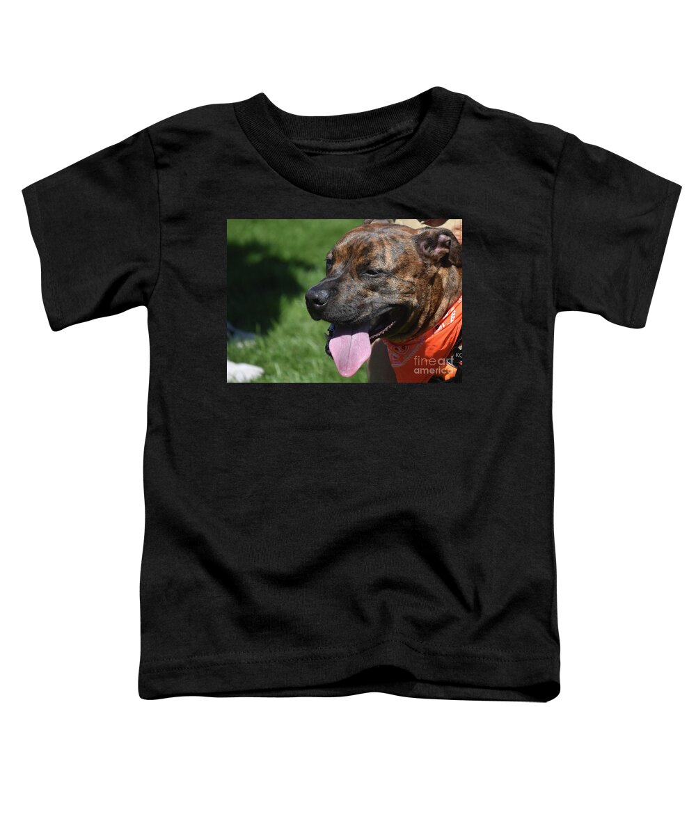 Pit-bull Toddler T-Shirt featuring the photograph Adorable Brown Pitbull Panting in the Summer by DejaVu Designs