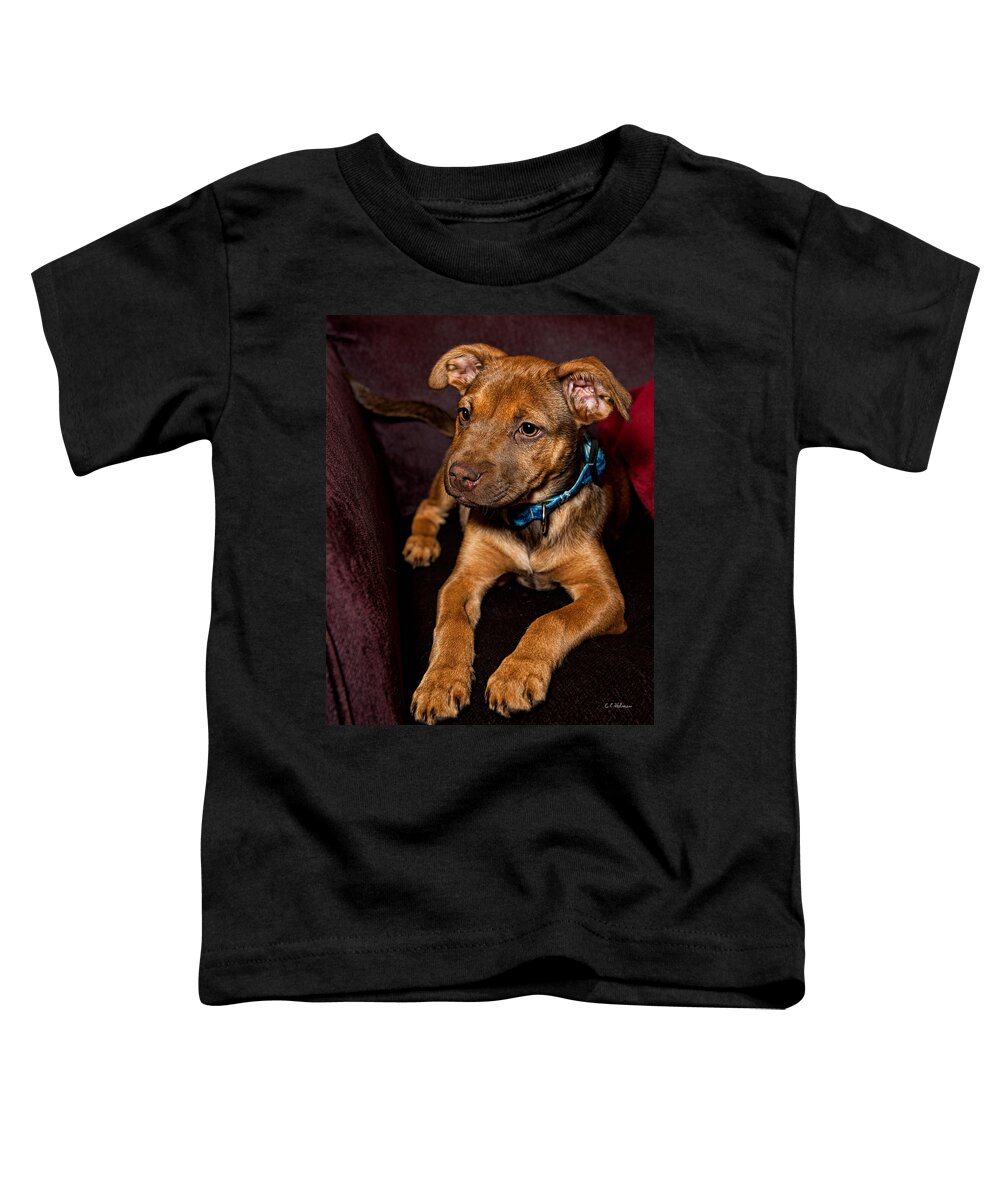 Puppy Toddler T-Shirt featuring the photograph Alex by Christopher Holmes