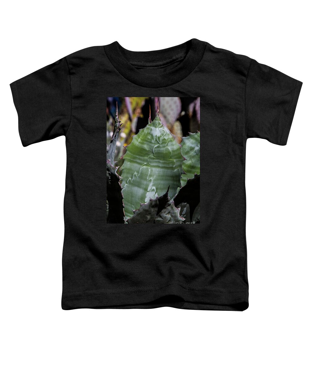 Arboretum Toddler T-Shirt featuring the photograph Aloe Striations by Kathy McClure