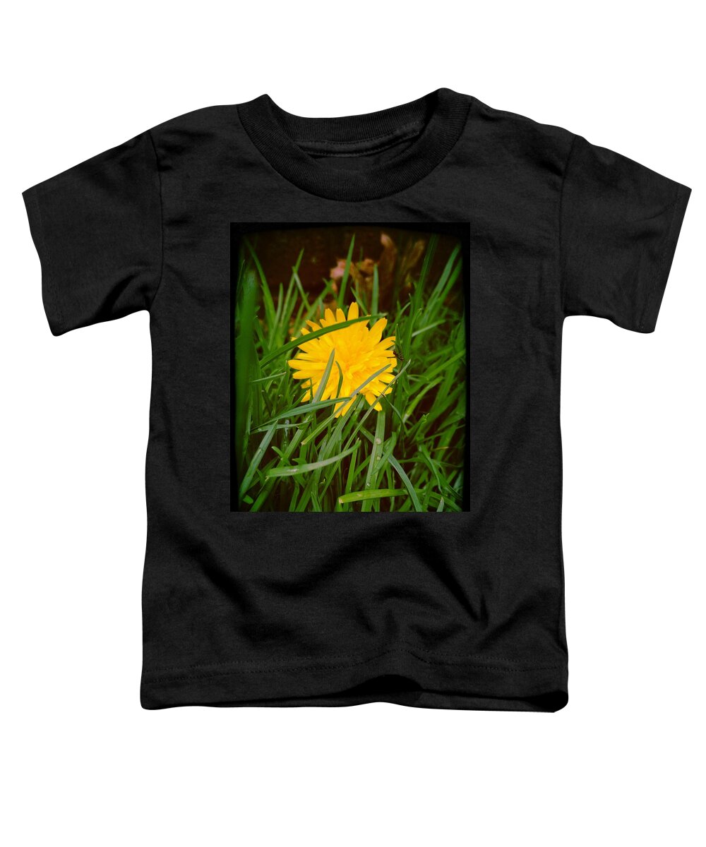 Ant Dandelion Grass Tiny World Leaves Summer Spring Toddler T-Shirt featuring the photograph An Ants World by Tori Omatick