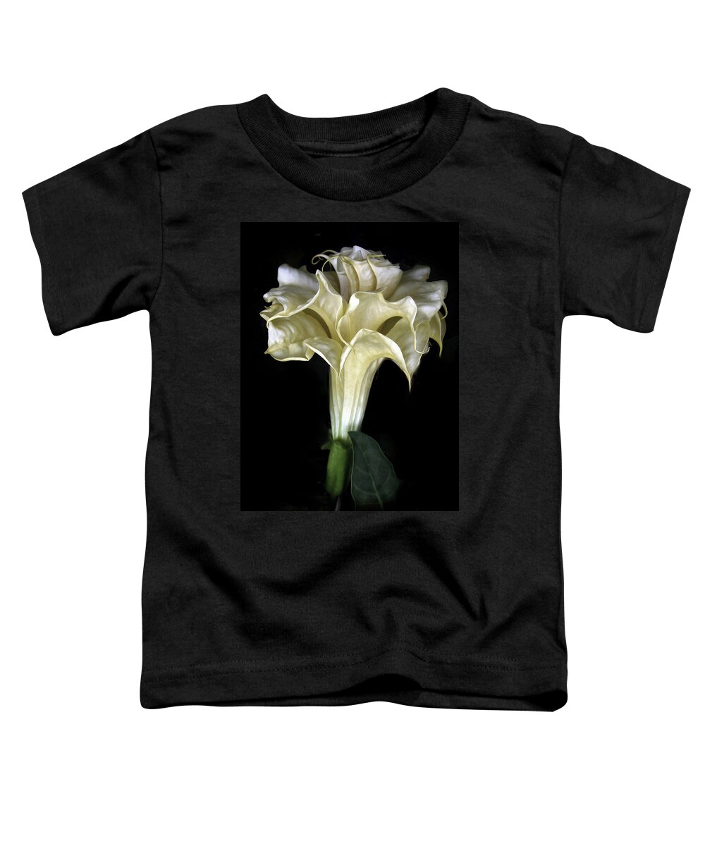 Flower Toddler T-Shirt featuring the photograph Angel Trumpet by Jessica Jenney