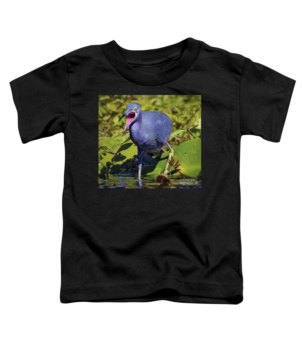 Herons Toddler T-Shirt featuring the photograph Angry Little Blue Heron - Egretta Caerulea by DB Hayes