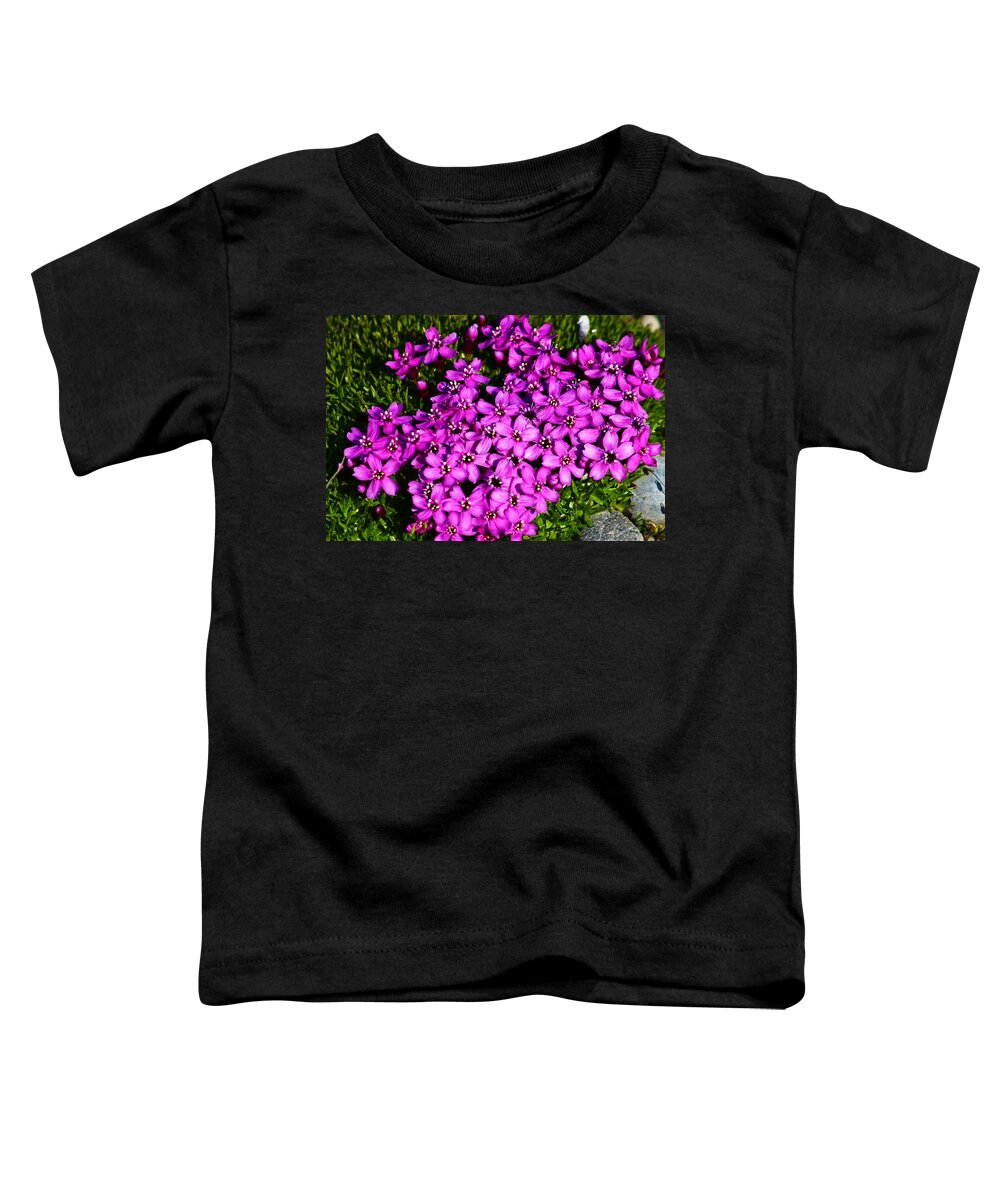 Arctic Toddler T-Shirt featuring the photograph Arctic Wild Flowers by Anthony Jones