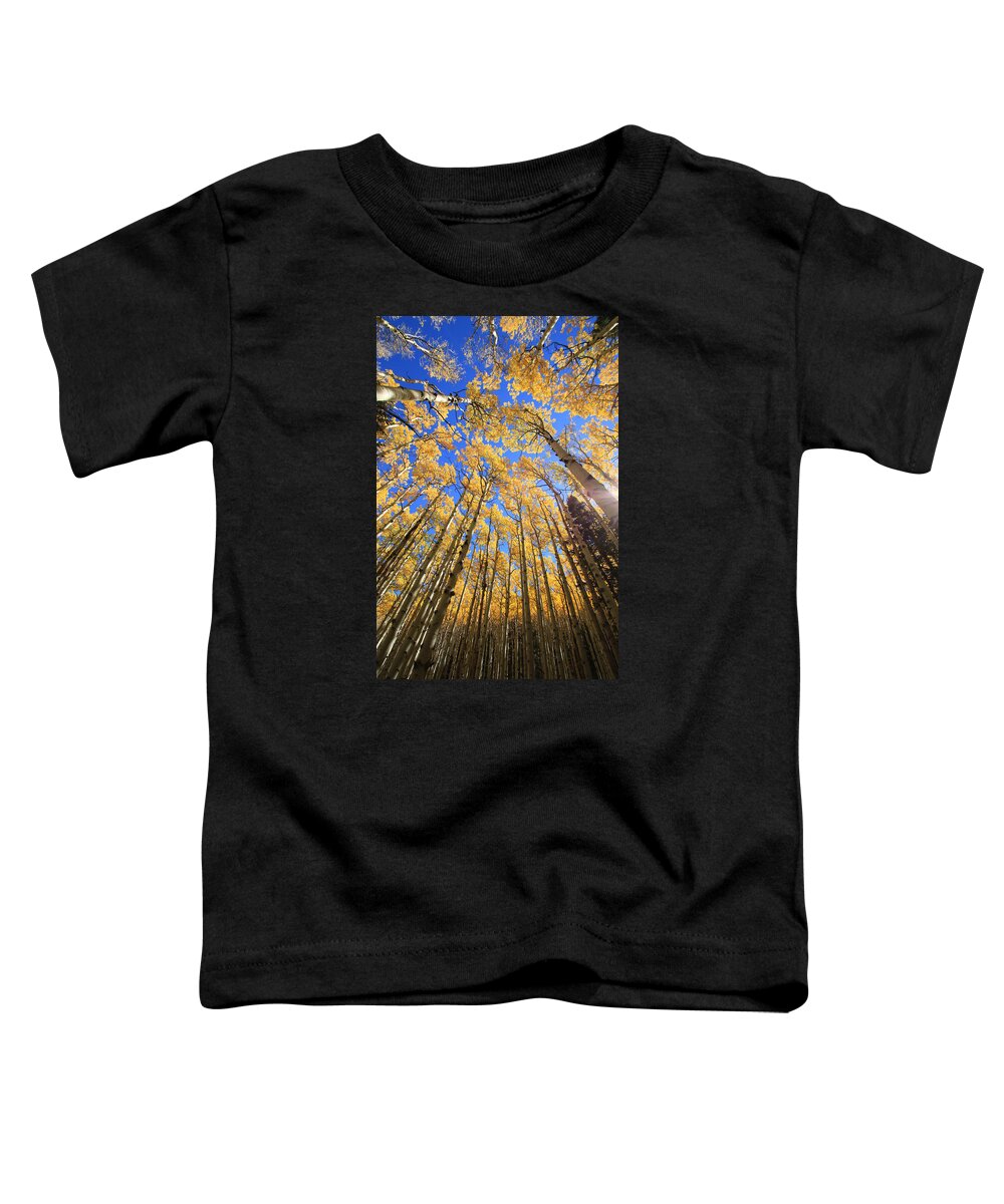 Aspens Toddler T-Shirt featuring the photograph Aspen Hues by Tom Kelly
