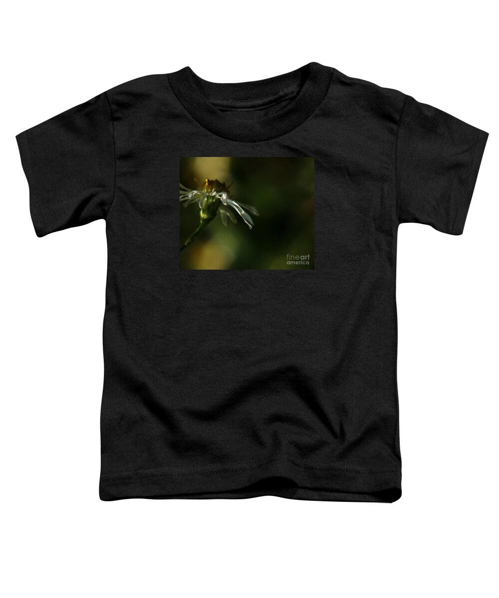 Flower Toddler T-Shirt featuring the photograph Aster's Peripheral Ray by Linda Shafer
