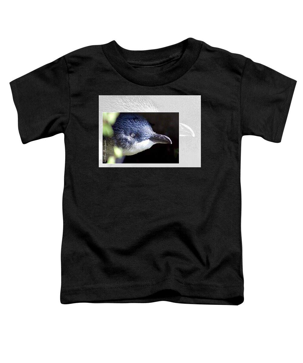 Animal Toddler T-Shirt featuring the photograph Australian Wildlife - Little Penguin by Holly Kempe
