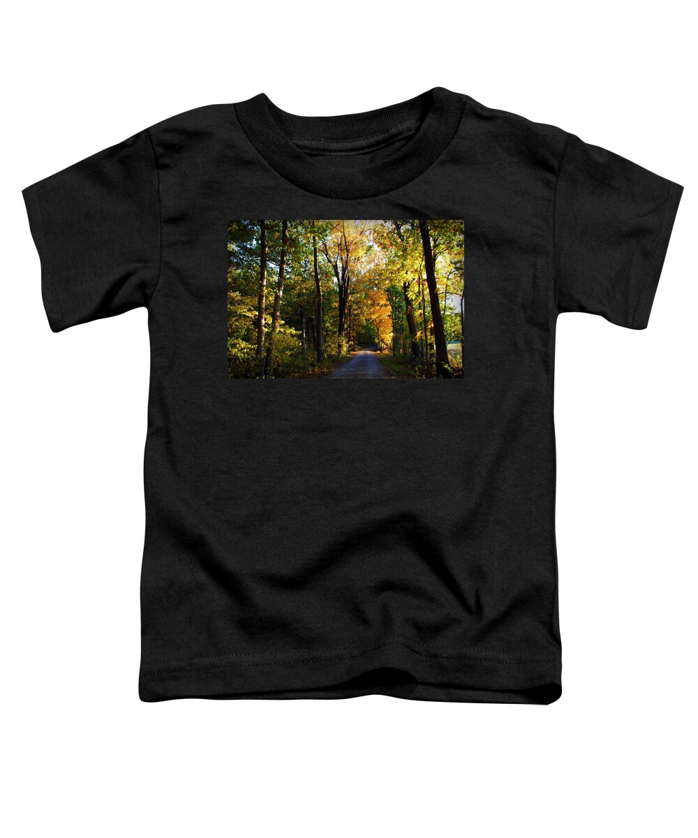 Trees Toddler T-Shirt featuring the photograph Autumn in Missouri by Cricket Hackmann