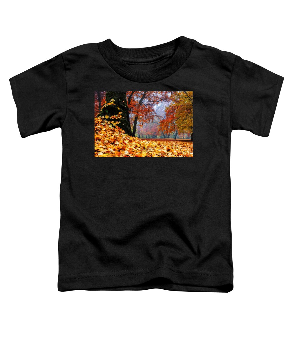 Autumn Toddler T-Shirt featuring the photograph Autumn In The Woodland by Hannes Cmarits