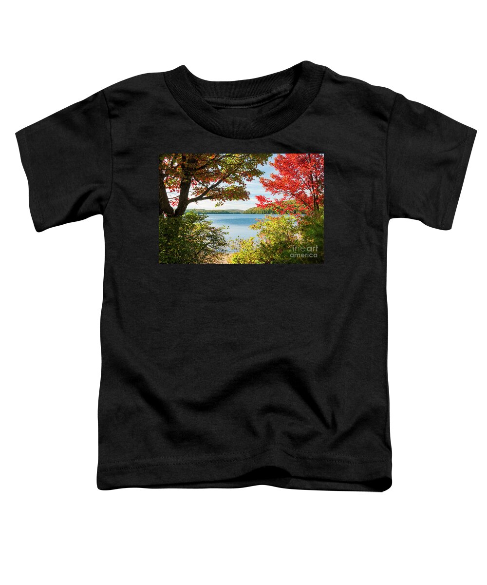 Fall Toddler T-Shirt featuring the photograph Autumn lake by Elena Elisseeva