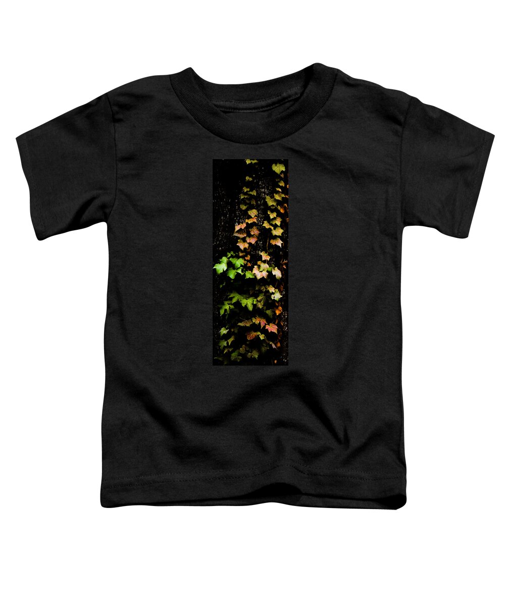 Autumn Toddler T-Shirt featuring the photograph Autumn Leaves by Parker Cunningham