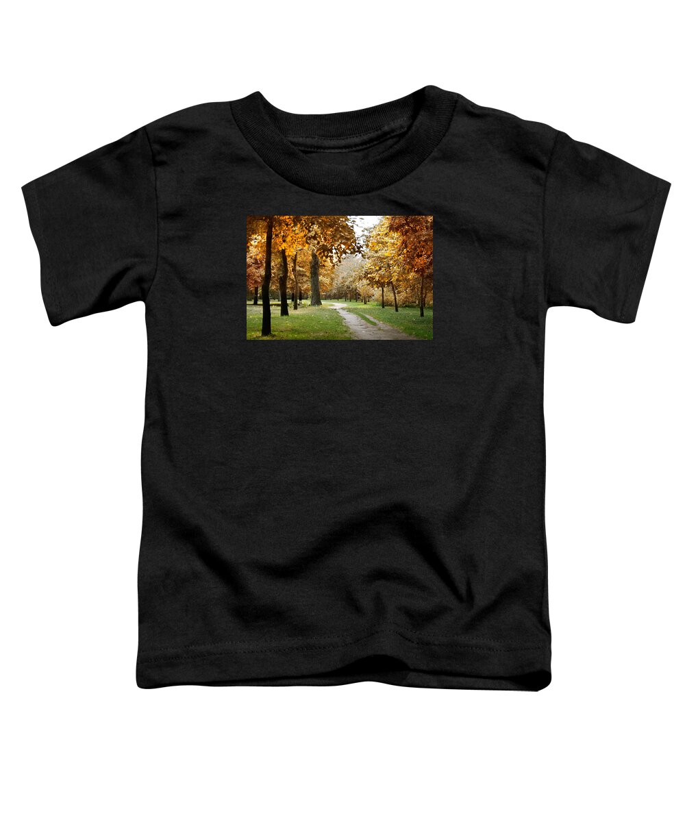 Fall Toddler T-Shirt featuring the photograph Autumn by Masha Batkova