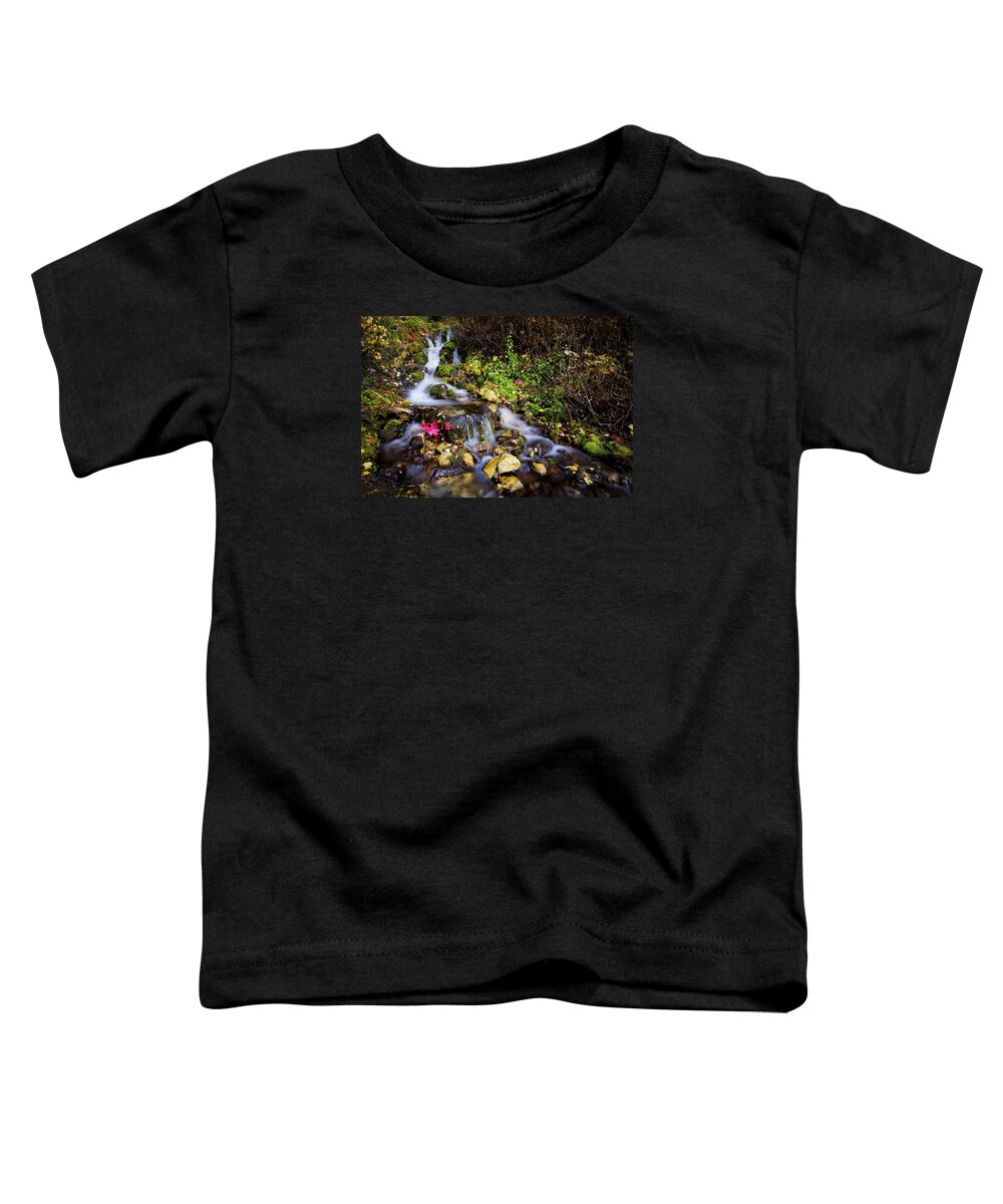 Nature Toddler T-Shirt featuring the photograph Autumn Stream by Chad Dutson