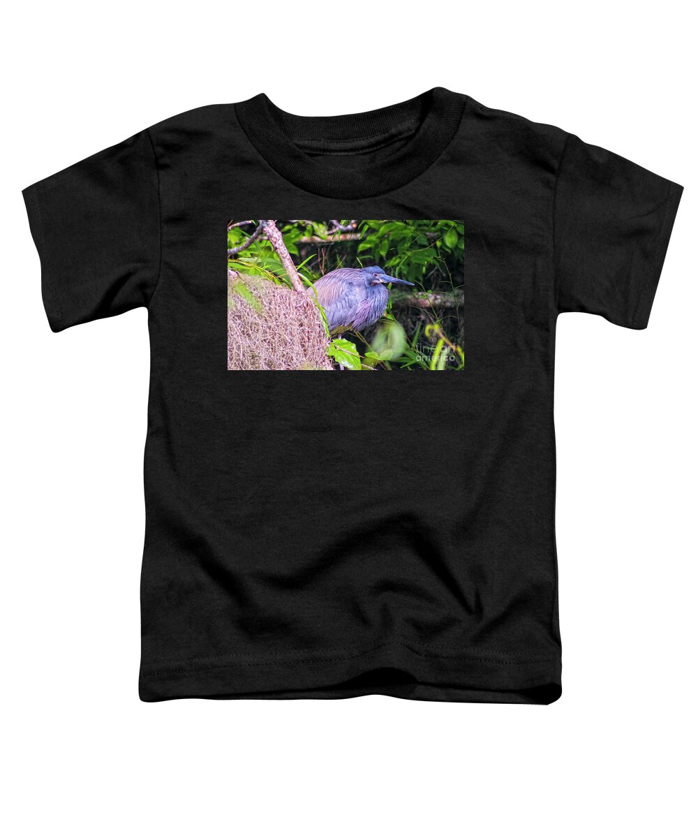 Nature Toddler T-Shirt featuring the photograph Baby Great Blue Heron - Ardea Herodias by DB Hayes