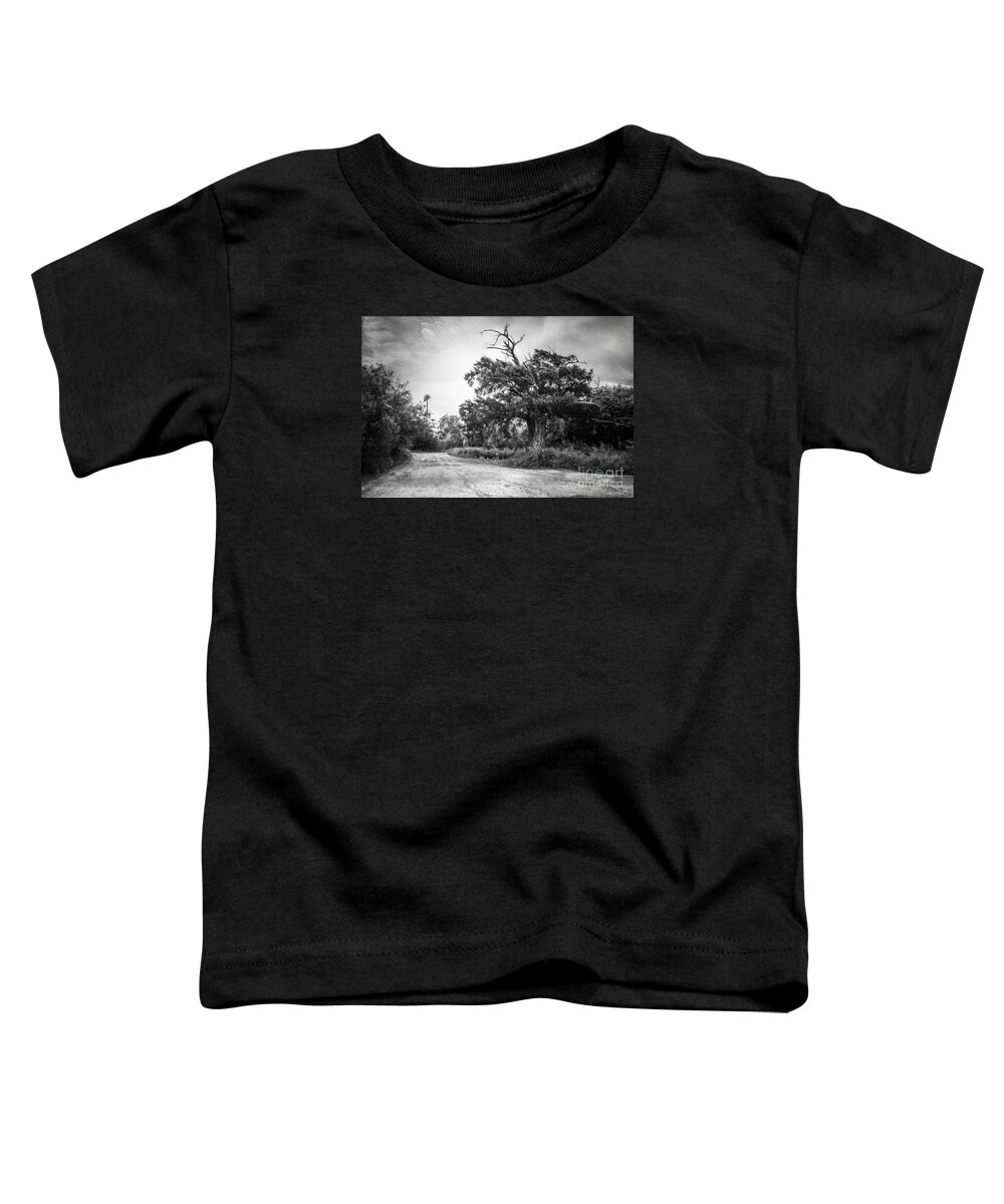 Bald Cypress Tree Toddler T-Shirt featuring the photograph Bald Cypress Tree by Imagery by Charly