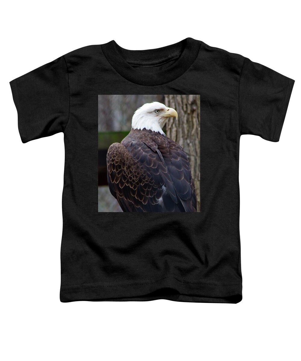 American Toddler T-Shirt featuring the photograph Bald Eagle Profile by Jill Lang