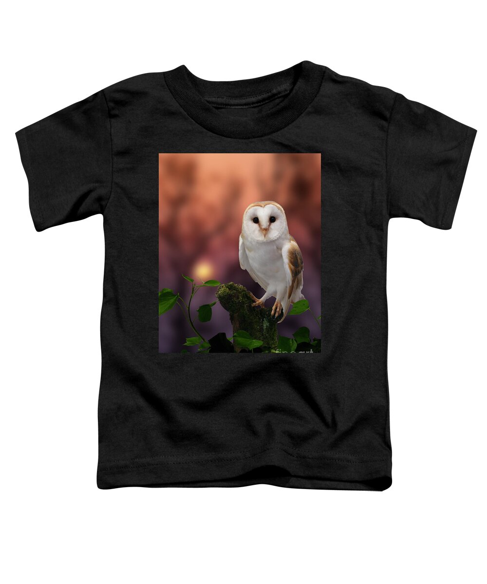 Barn Owl Toddler T-Shirt featuring the photograph Barn Owl at sunset by Warren Photographic