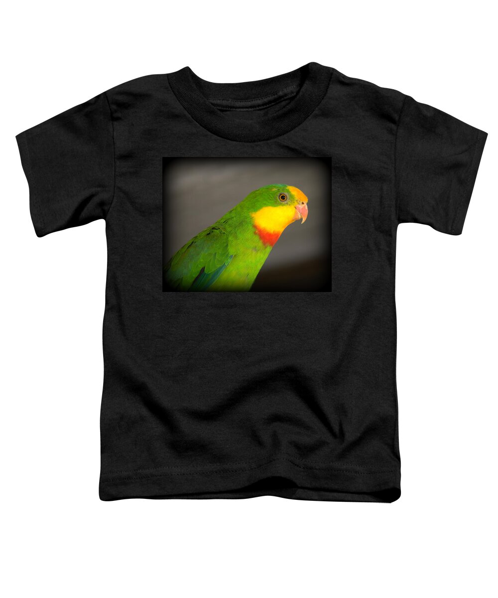 Barraband's Parakeet Toddler T-Shirt featuring the photograph Barraband's or Barraband's Parakeet by Nathan Abbott