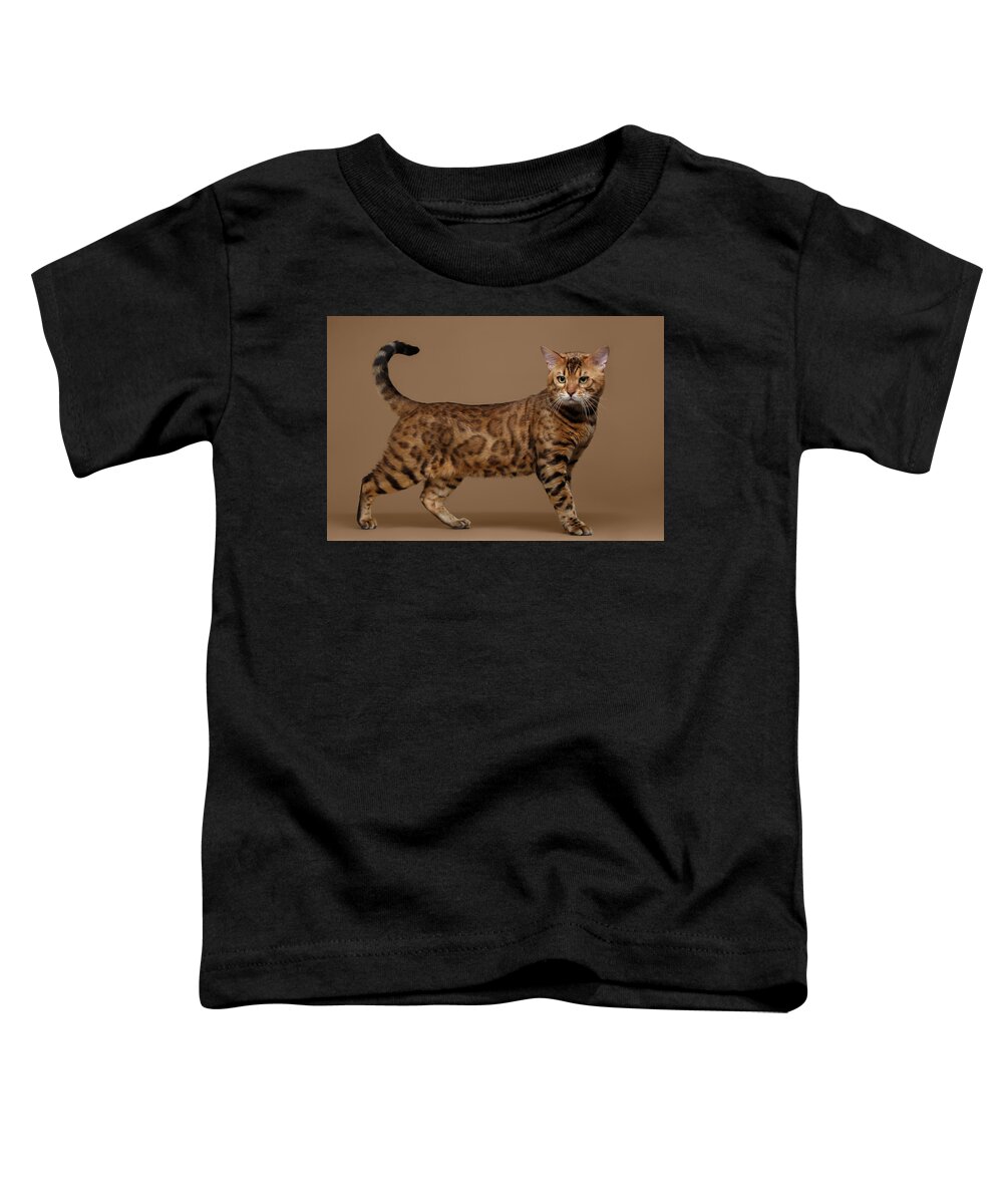 Cat Toddler T-Shirt featuring the photograph Beautiful Bengal Cat Stands on Brown background by Sergey Taran