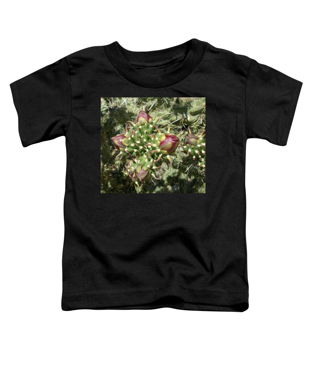 Cactus Toddler T-Shirt featuring the photograph Beginnings by Claudia Goodell