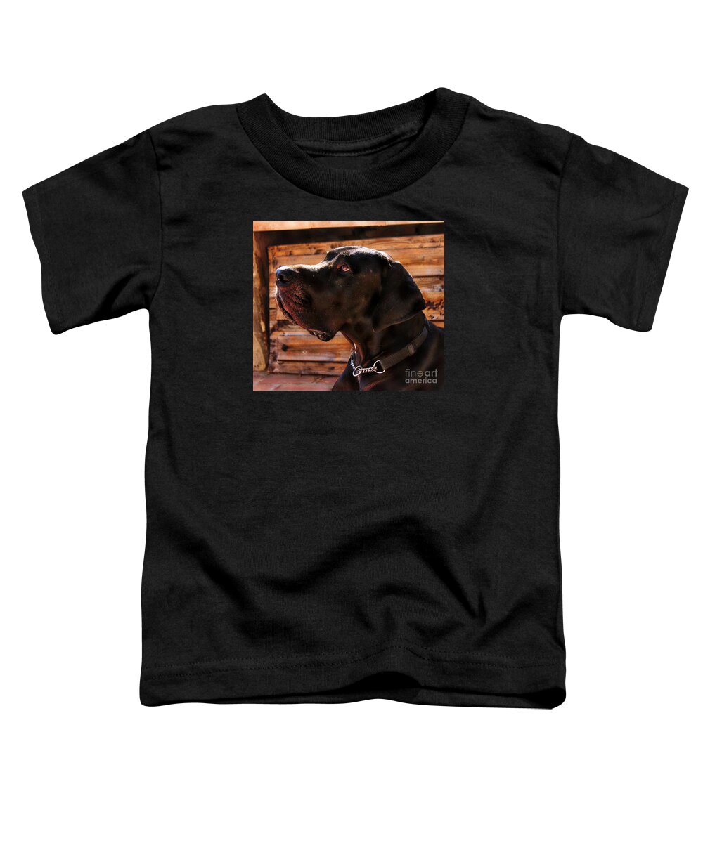 Great Dane Toddler T-Shirt featuring the photograph Benson by Clare Bevan