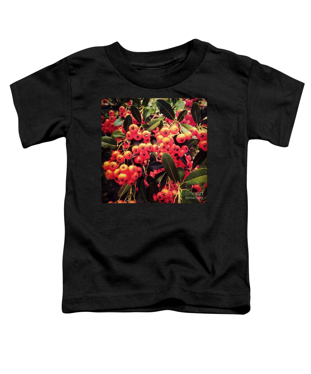 Berries Toddler T-Shirt featuring the photograph Berry Fall by Onedayoneimage Photography