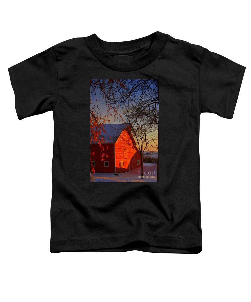 Barn Toddler T-Shirt featuring the photograph Big red barn by Julie Lueders 