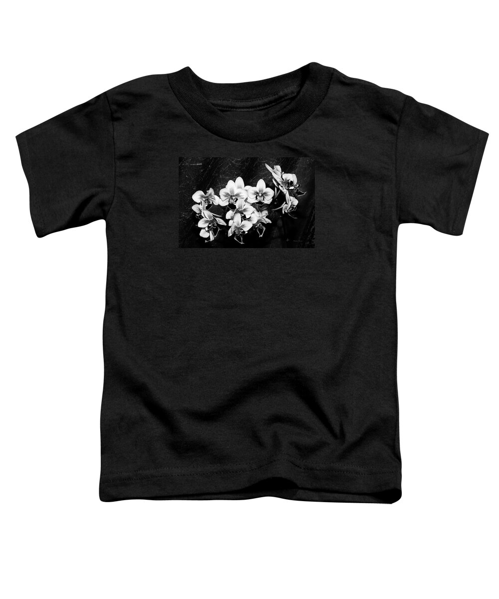 Flowers Toddler T-Shirt featuring the photograph Black and White Velvet by Phyllis Denton