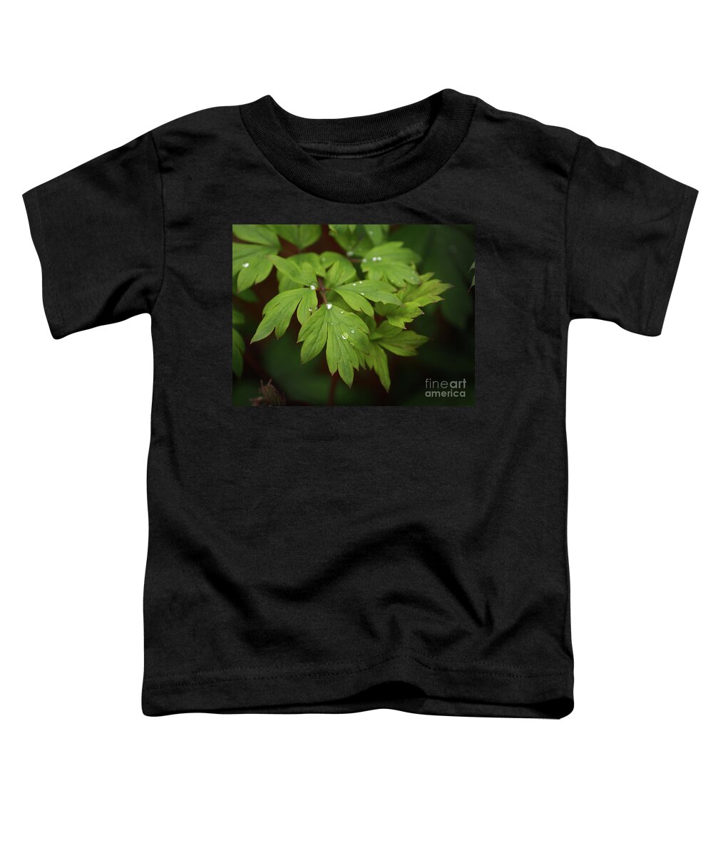 Flowers Toddler T-Shirt featuring the photograph Bleeding Heart Leaves After The Rain by Dorothy Lee