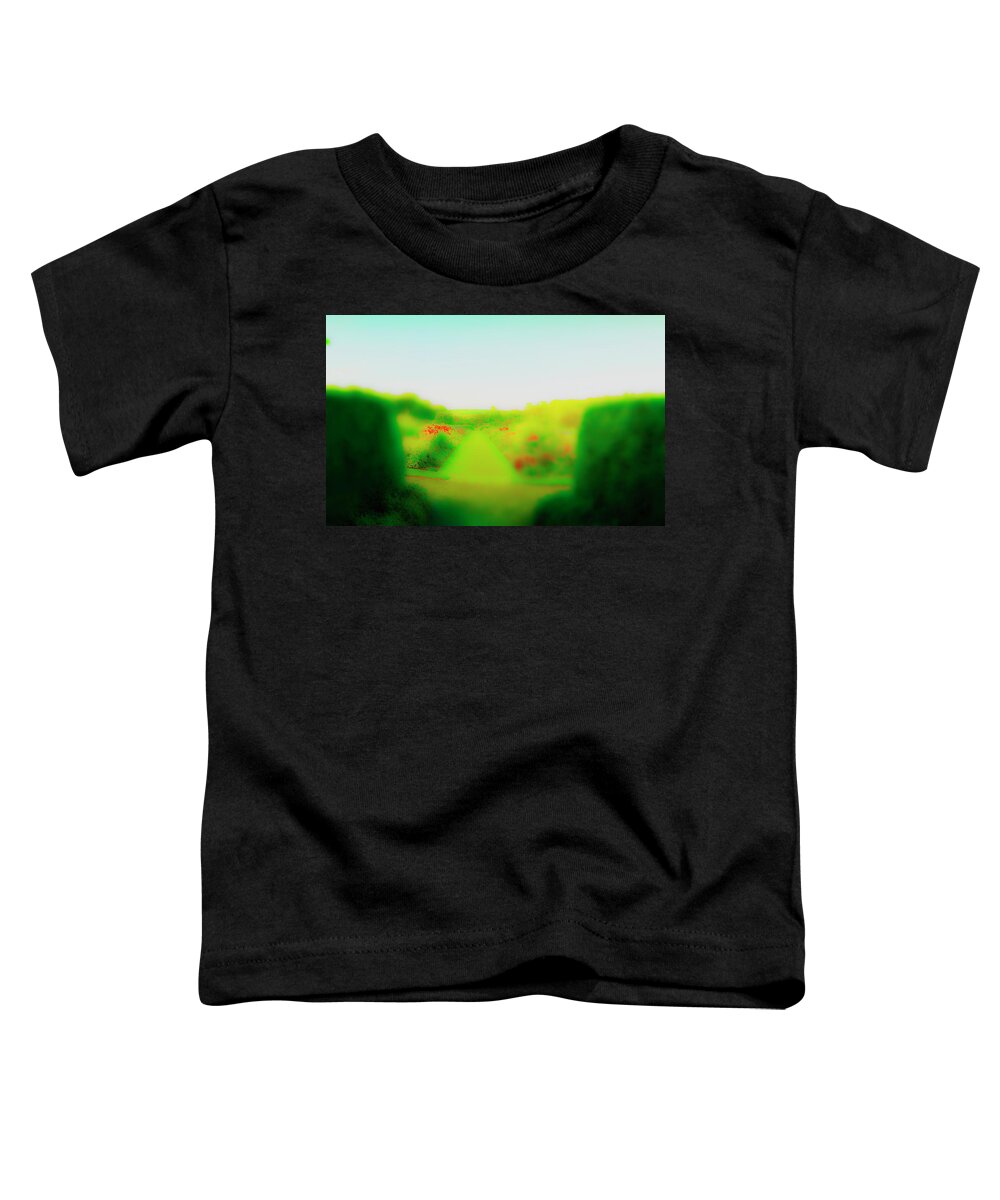  Railroad Toddler T-Shirt featuring the photograph Blooms in Sun by Jan W Faul