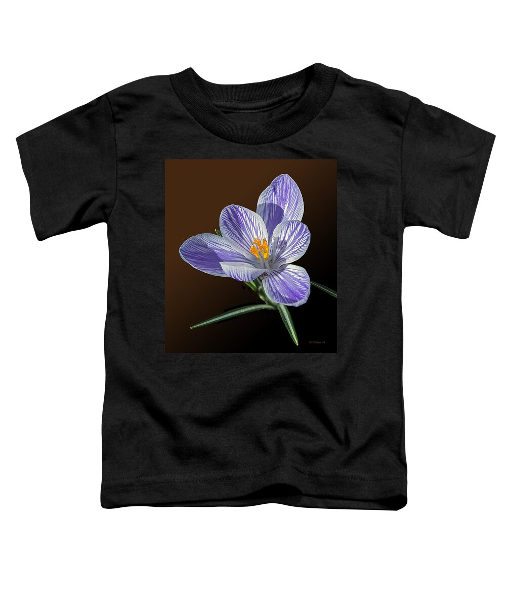 2d Toddler T-Shirt featuring the photograph Blue And White Crocus by Brian Wallace