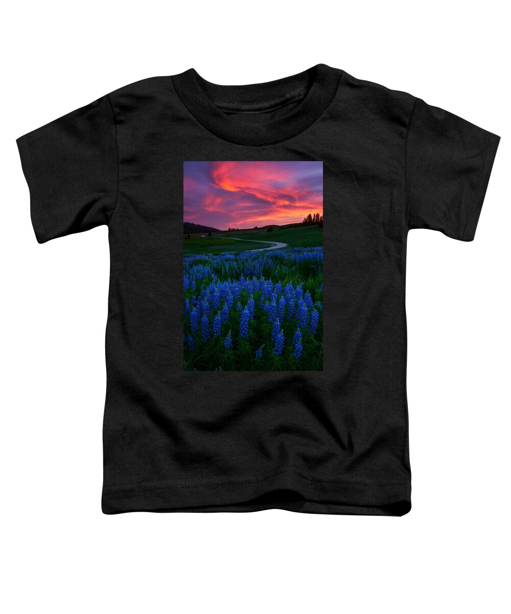 Utah Toddler T-Shirt featuring the photograph Blue Flame by Dustin LeFevre