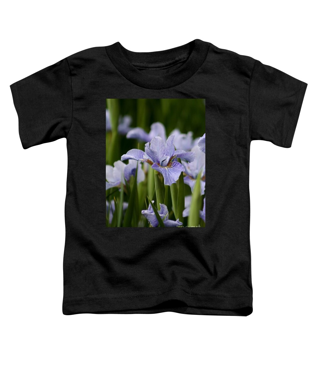 Blue Flowers Toddler T-Shirt featuring the photograph Blue Iris by B Rossitto