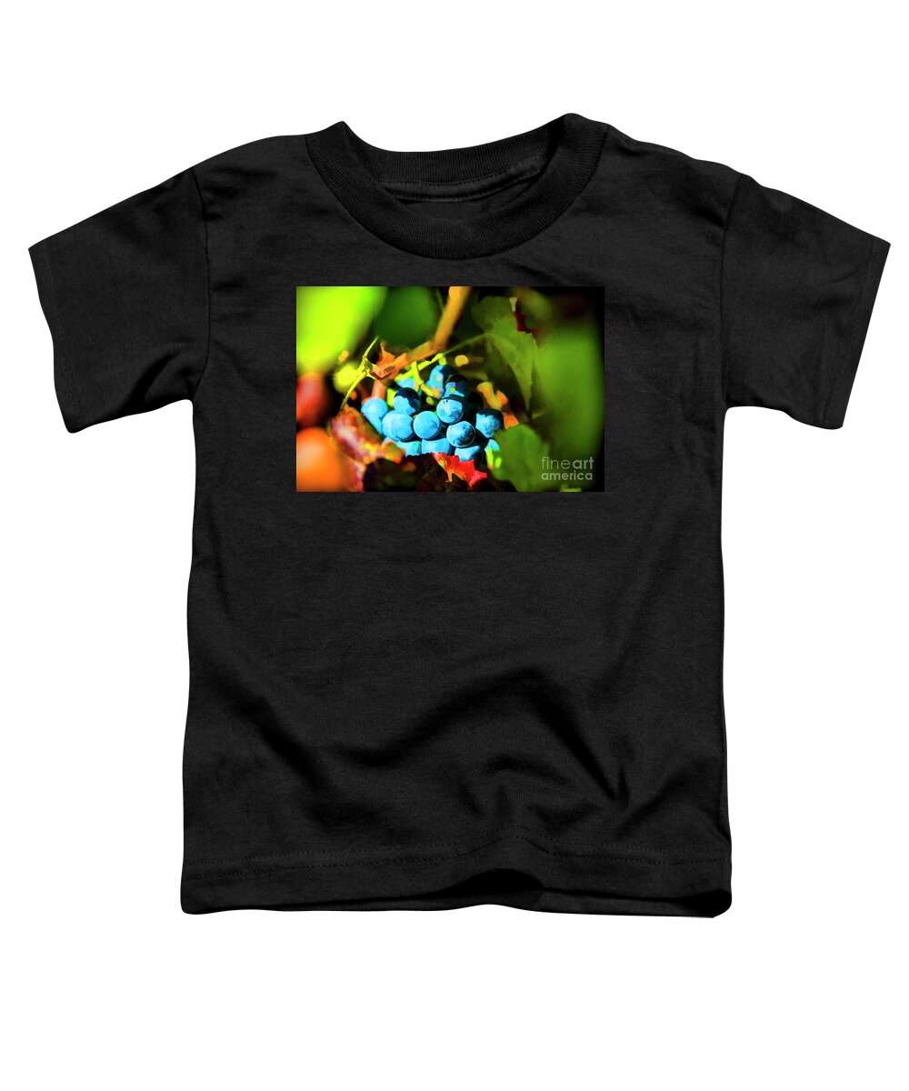 Grapes Portugal Druro Valley Toddler T-Shirt featuring the photograph Blue Love by Rick Bragan