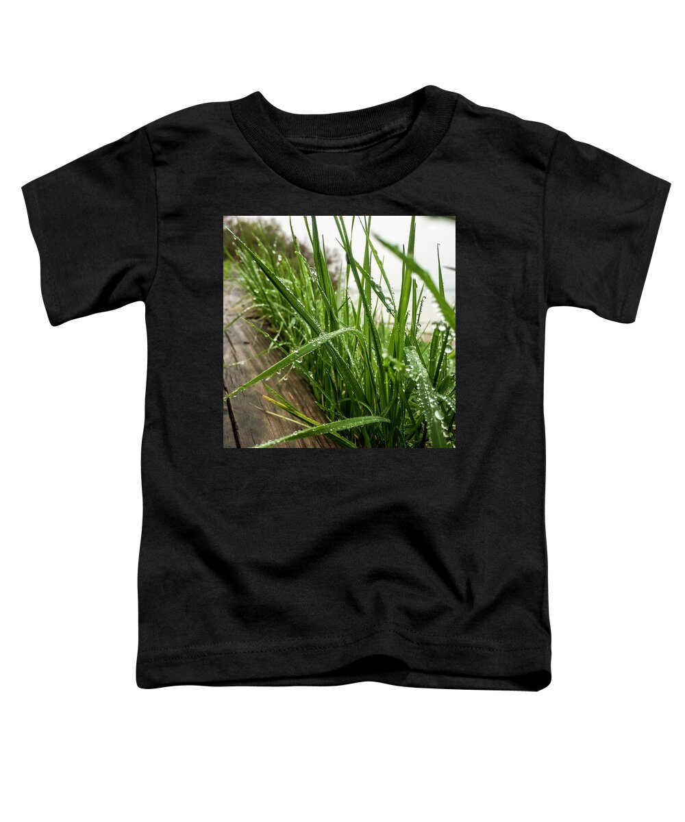 Grass Toddler T-Shirt featuring the photograph Border by Terri Hart-Ellis