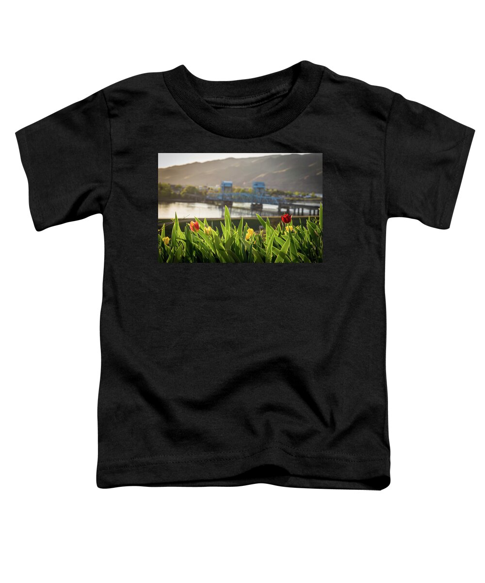 Tulips Toddler T-Shirt featuring the photograph Bridge through the Tulips by Brad Stinson