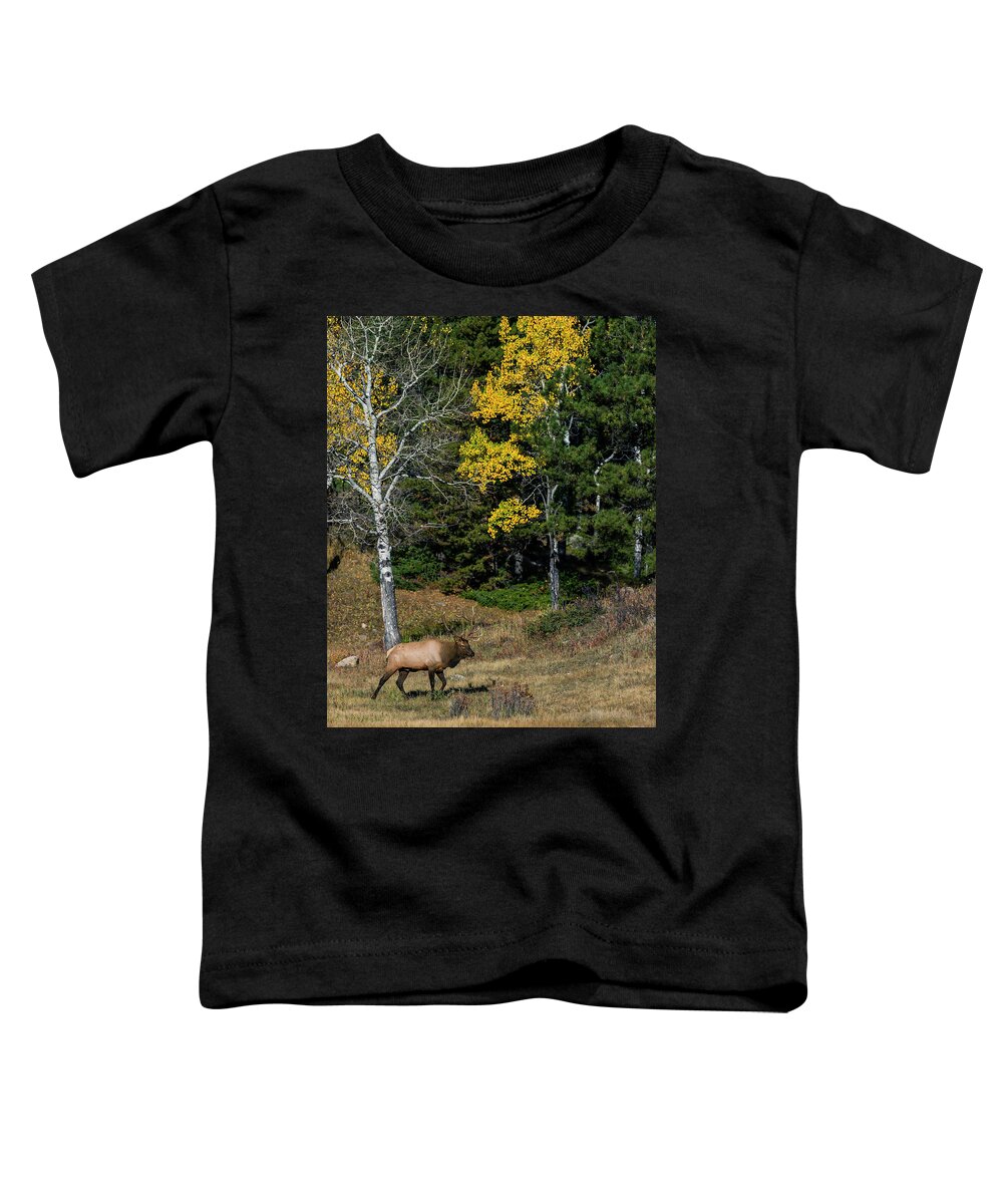 Bull Elk Toddler T-Shirt featuring the photograph Bull Elk and Fall Colors by Gary Langley