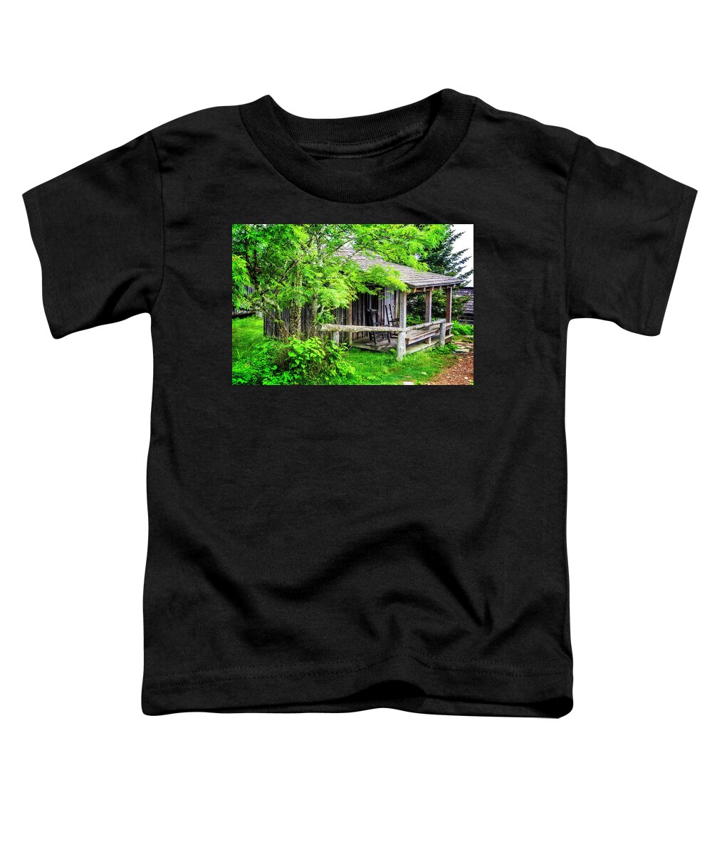 Appalachia Toddler T-Shirt featuring the photograph Cabin at the top Mt LeConte by Debra and Dave Vanderlaan