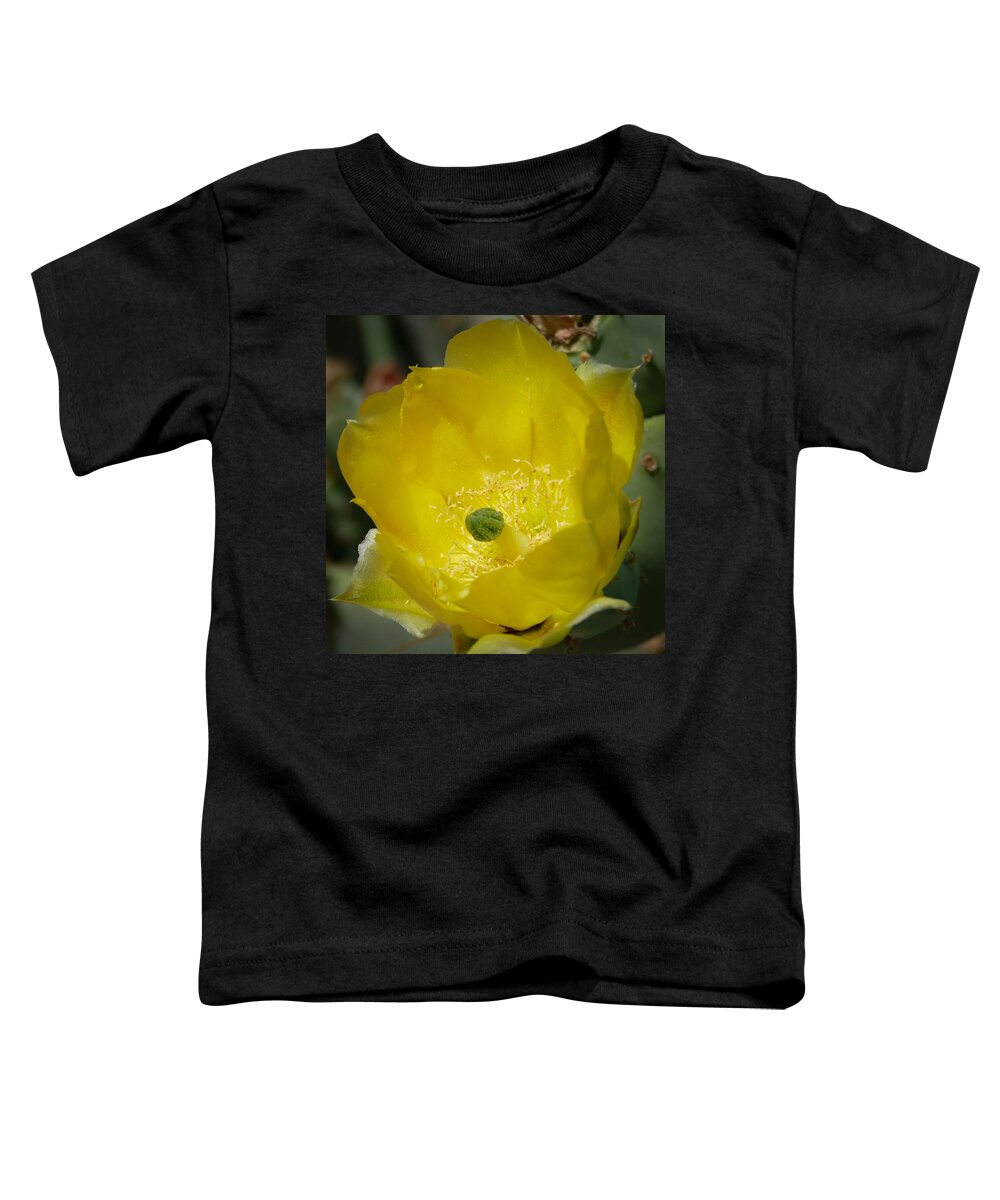 Cactus Toddler T-Shirt featuring the photograph Cactus Flower by Laurel Powell