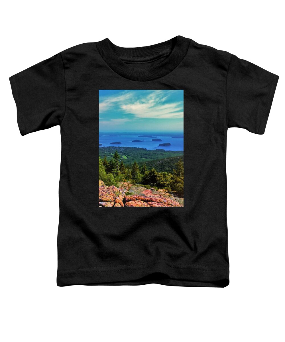 Cadillac Mountain Toddler T-Shirt featuring the photograph Cadillac Mountain by Lisa Dunn