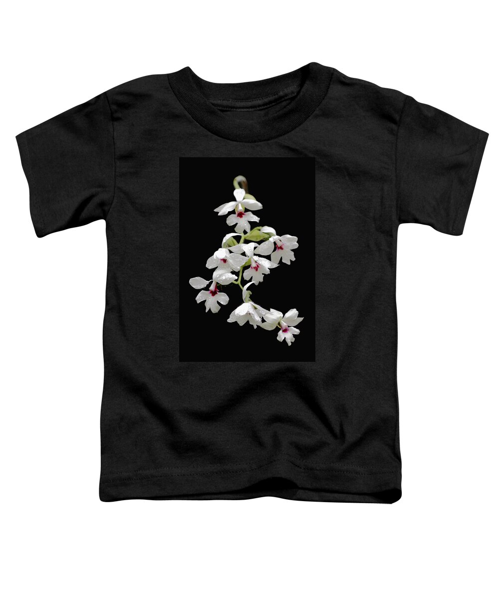 Beautiful Toddler T-Shirt featuring the photograph Calanthe Vestita Orchid by Rudy Umans