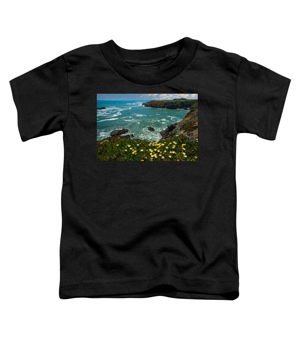 Northern California Toddler T-Shirt featuring the photograph California Coast by Harry Spitz