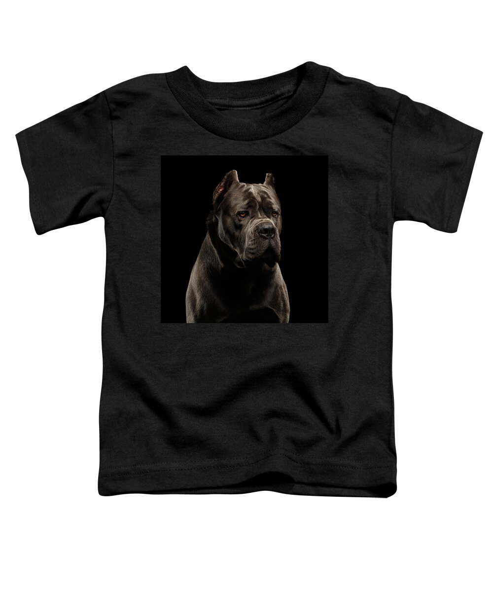 Cane Toddler T-Shirt featuring the photograph Cane Corso by Sergey Taran